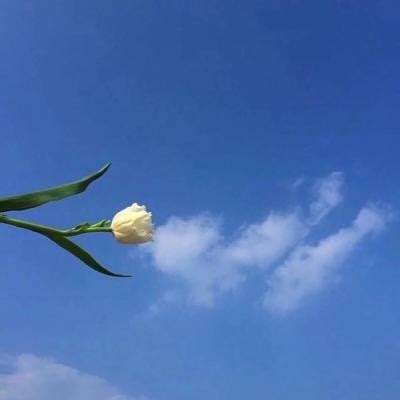 zgirls2汉化游戏下载