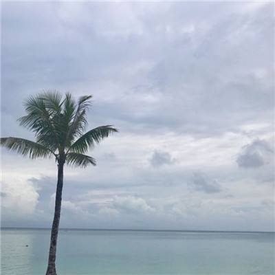 球球大作战vivo手游免费版下载
